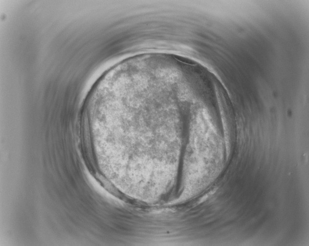 X0000052571531200507291953