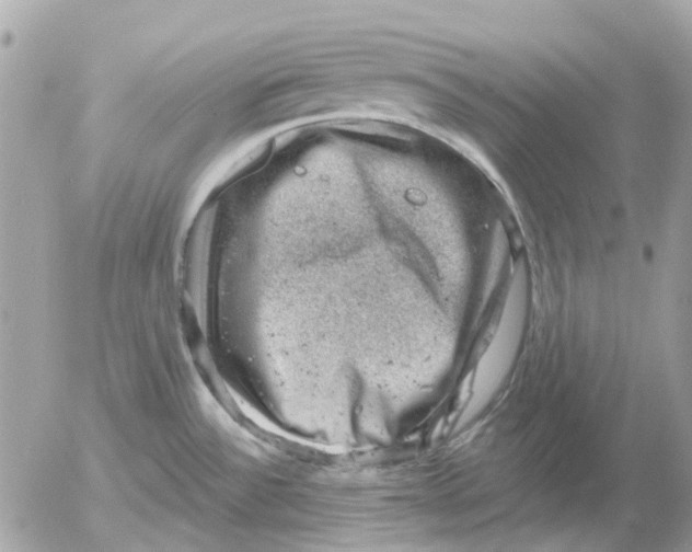 X0000052571532200507291953