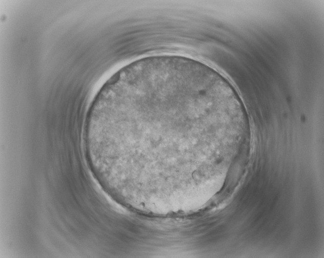 X0000052571533200507291953