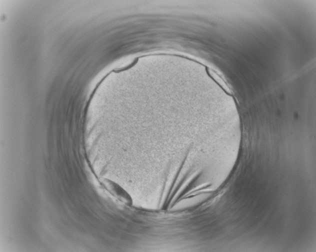 X0000052571534200507291953