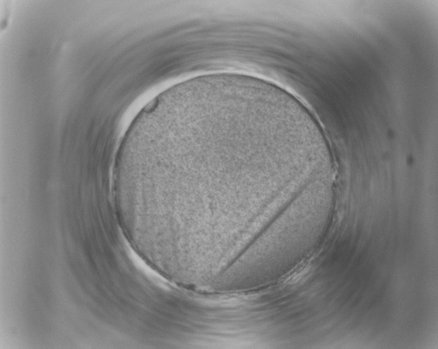 X0000052571535200507291954