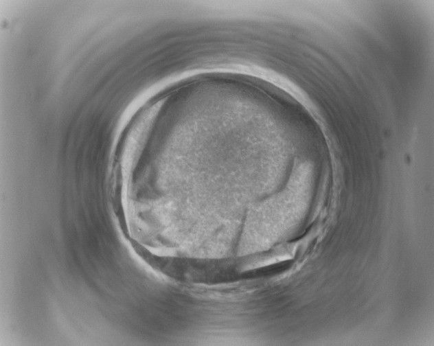 X0000052571536200507291954