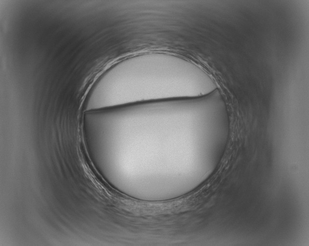 X0000052580002200507010925
