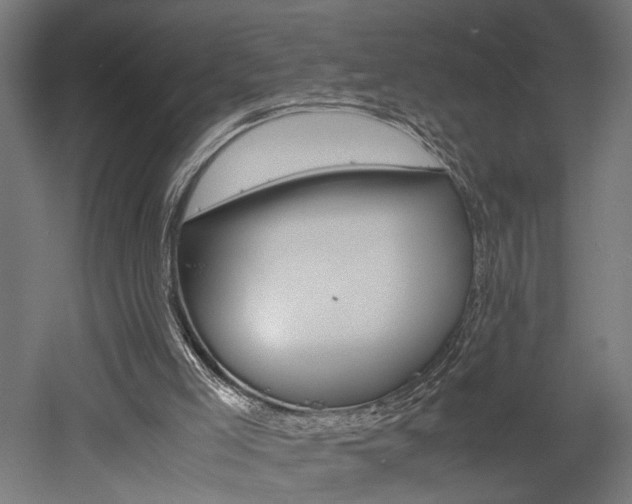 X0000052580005200507010925