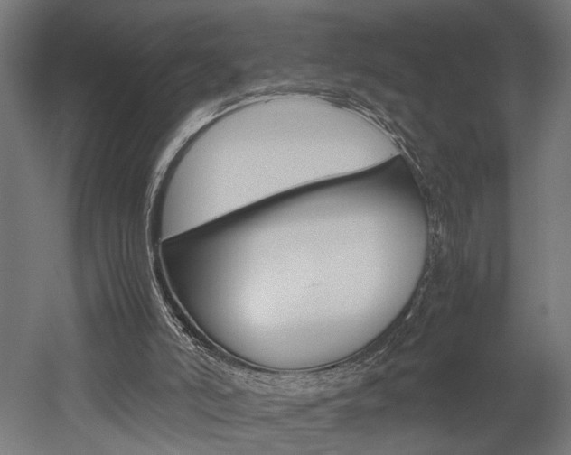 X0000052580006200507010925