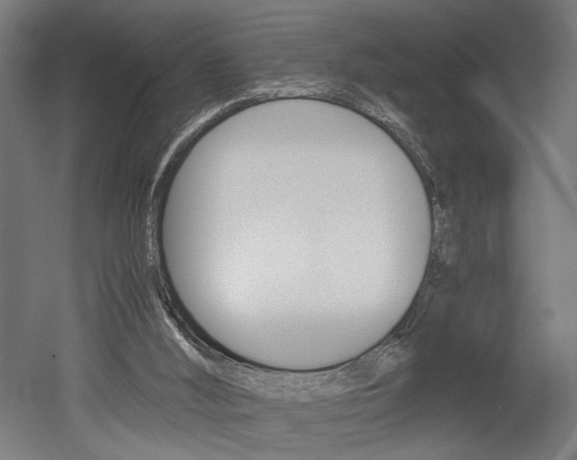 X0000052580012200507010925