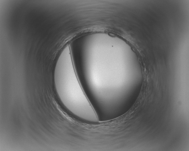 X0000052580013200507010925