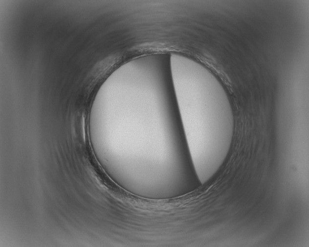 X0000052580014200507010925