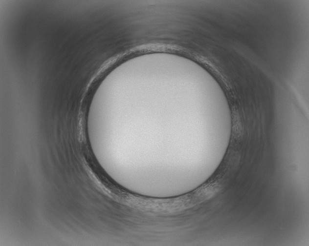 X0000052580016200507010925