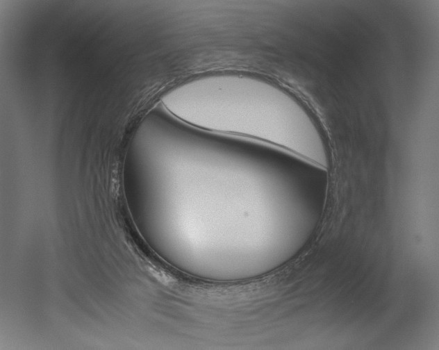 X0000052580017200507010925