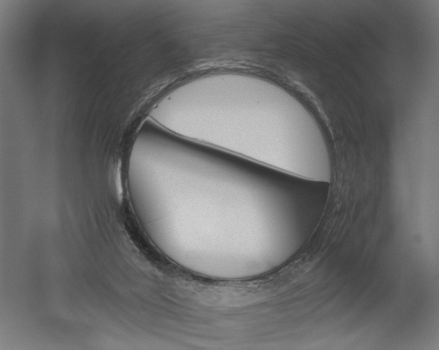 X0000052580020200507010925