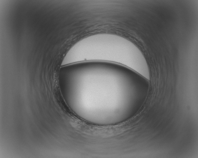 X0000052580029200507010925