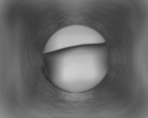 X0000052580034200507010925