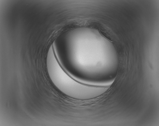 X0000052580035200507010925