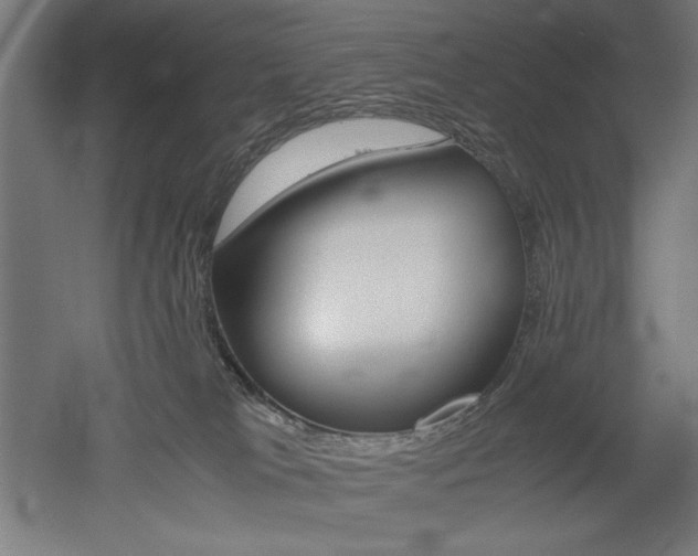 X0000052580037200507010925