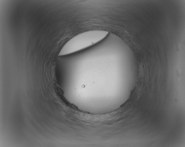 X0000052580043200507010925