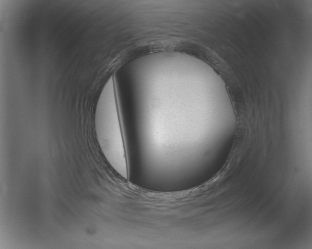 X0000052580045200507010925