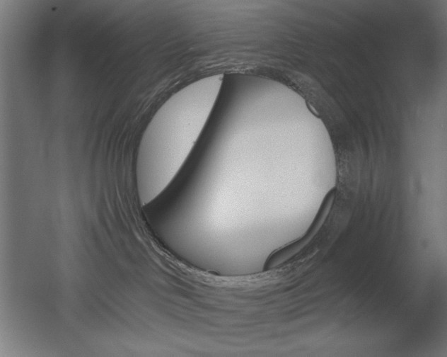 X0000052580046200507010925