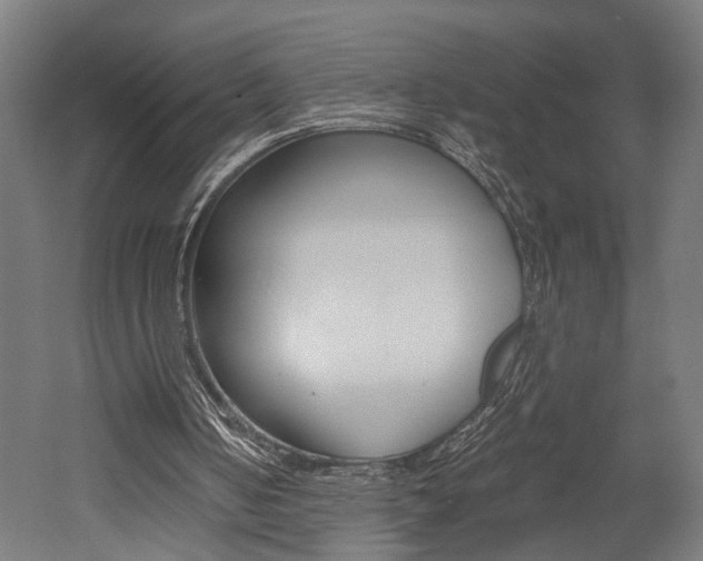 X0000052580050200507010924