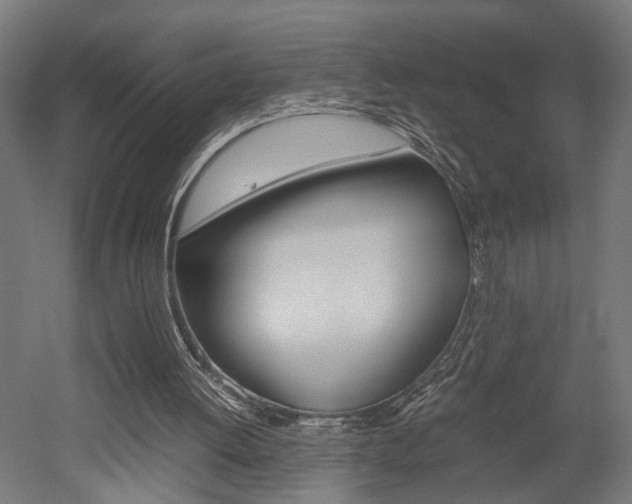 X0000052580052200507010924