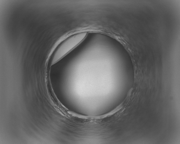 X0000052580056200507010924