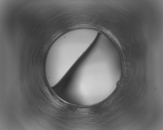 X0000052580057200507010924