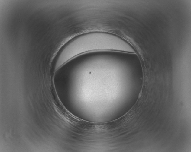X0000052580060200507010924