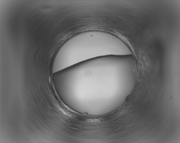 X0000052580061200507010924