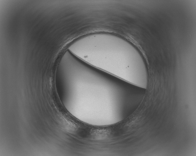 X0000052580063200507010924