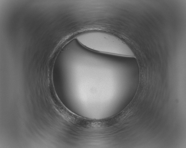 X0000052580064200507010924