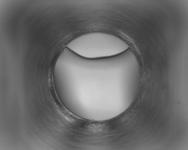 X0000052580065200507010924