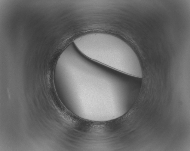 X0000052580066200507010924