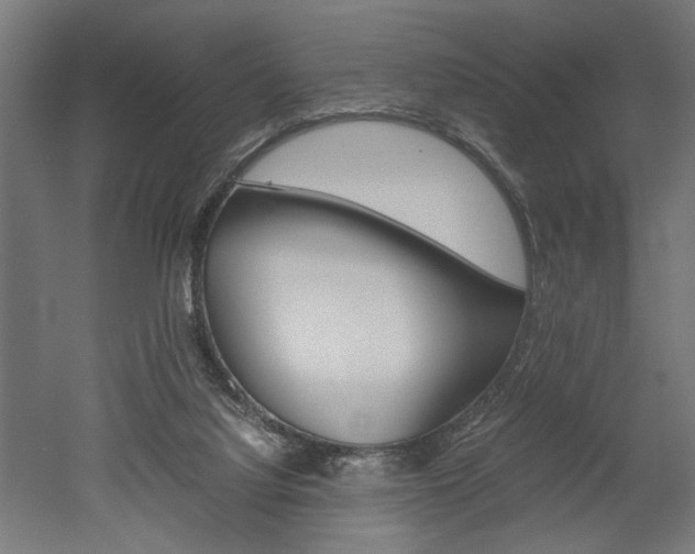X0000052580068200507010924