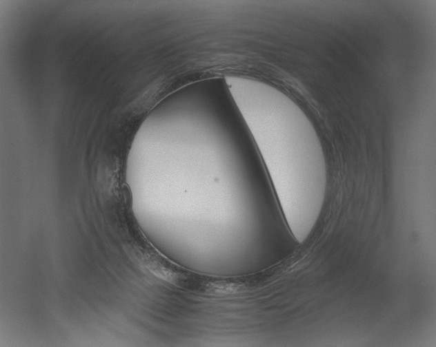 X0000052580073200507010924