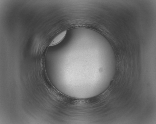 X0000052580074200507010924