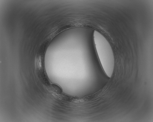 X0000052580075200507010924