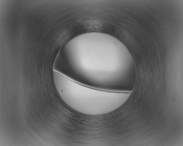 X0000052580083200507010924