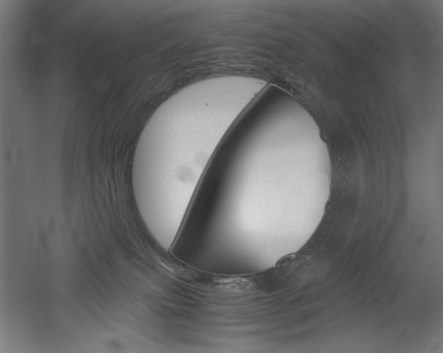 X0000052580087200507010924