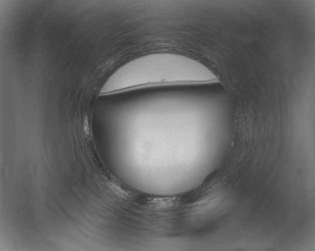 X0000052580089200507010925