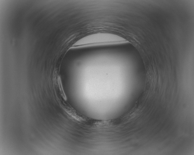 X0000052580092200507010925