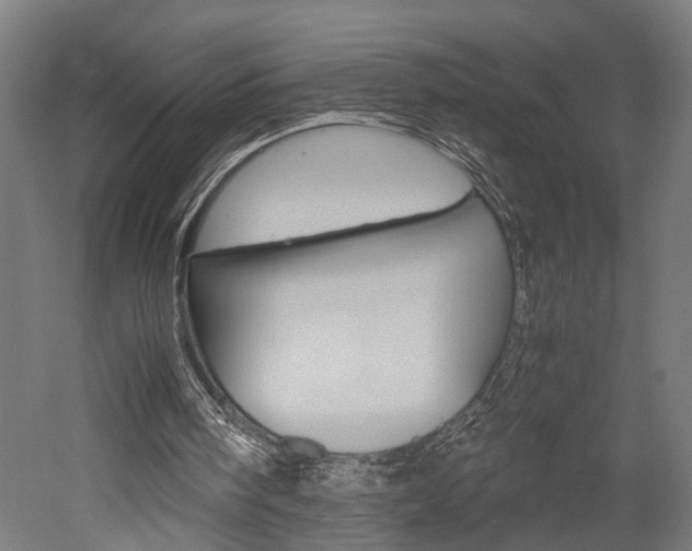 X0000052580098200507010924