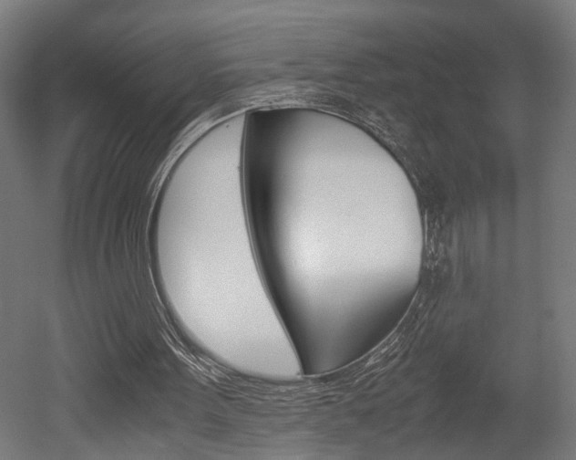 X0000052580099200507010924