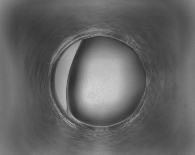X0000052580101200507010924