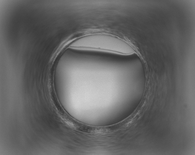X0000052580103200507010924