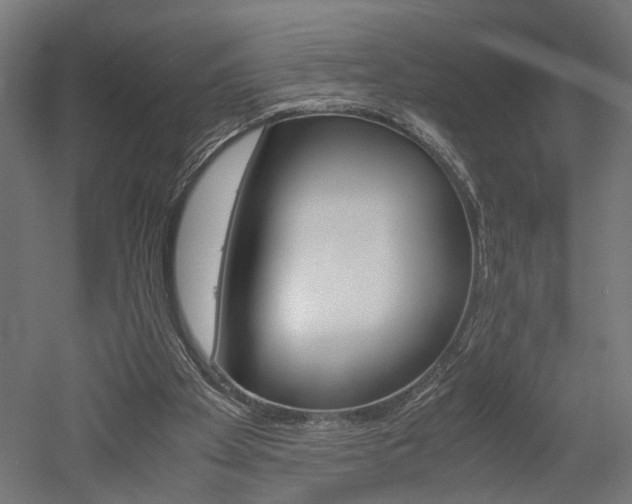 X0000052580105200507010924