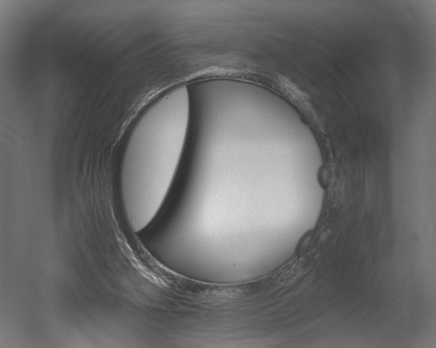 X0000052580106200507010924