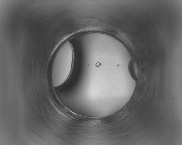 X0000052580108200507010924