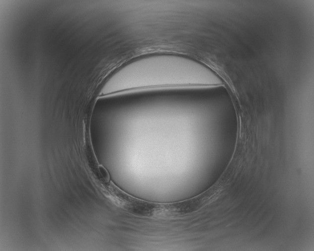 X0000052580109200507010924