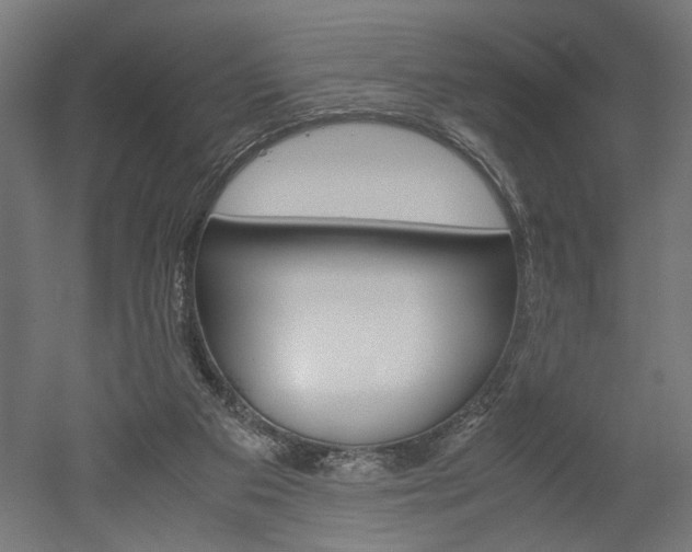 X0000052580113200507010924