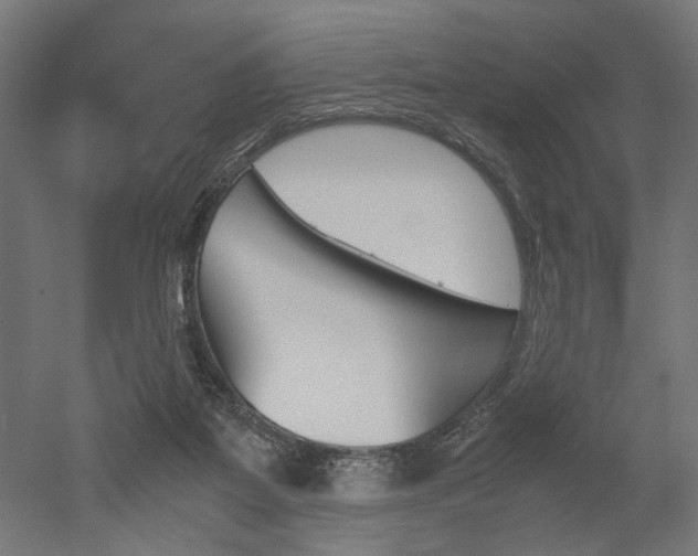 X0000052580115200507010924